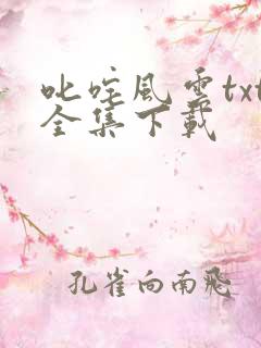 叱咤风云txt全集下载