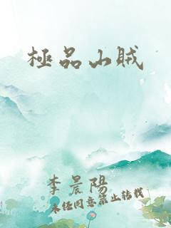 极品山贼