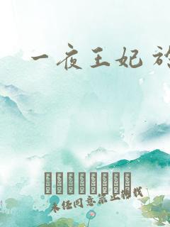 一夜王妃 于墨