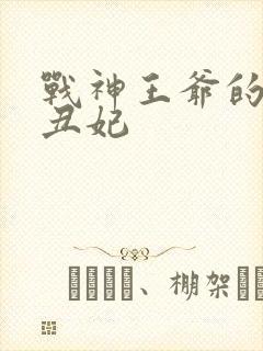 战神王爷的替嫁丑妃