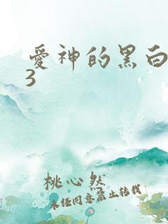 爱神的黑白羽翼3