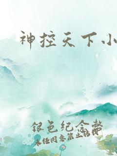 神控天下小说
