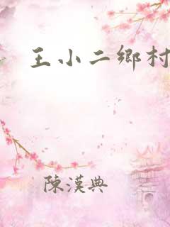王小二乡村野事