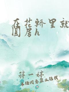 在花轿里就开始圆房h