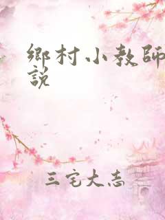 乡村小教师 小说
