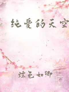 纯爱的天空