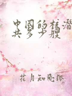 中国的核潜艇总共多少艘