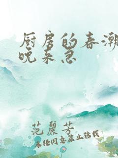 厨房的春潮带雨晚来急