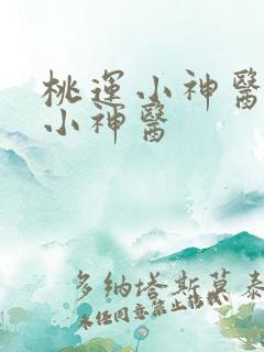 桃运小神医乡村小神医