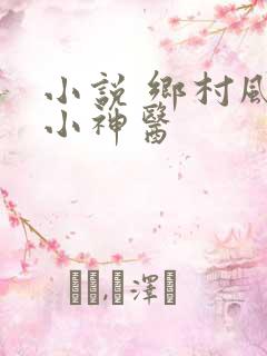 小说 乡村风流小神医