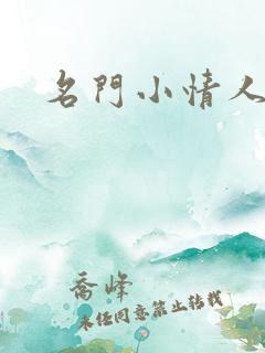 名门小情人