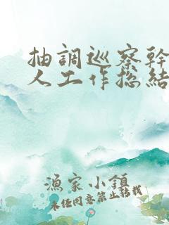 抽调巡察干部个人工作总结