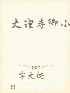 大理寺卿小说