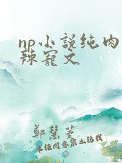 np小说纯肉高辣宠文