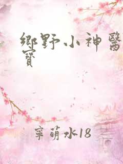 乡野小神医叶小宝