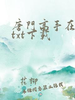 唐门高手在异世txt下载