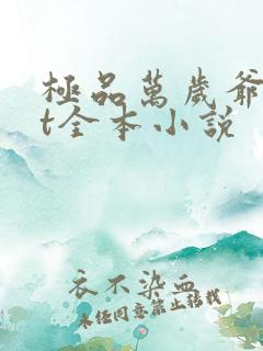 极品万岁爷txt全本小说
