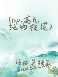 (np,高h,纯肉校园)