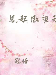 凤起 傲视天下