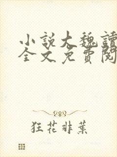 小说大魏读书人全文免费阅读完整版