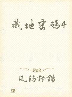 藏地密码4