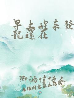 早上醒来发现巨龙还在