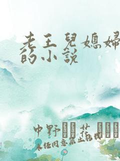 老王儿媳妇秦雨的小说