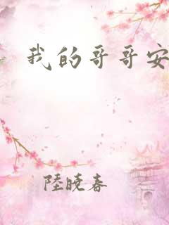 我的哥哥安小天