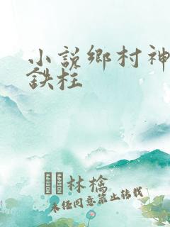 小说乡村神医王铁柱