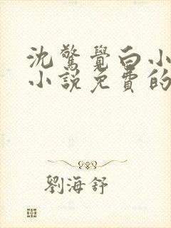 沈惊觉白小小的小说免费的