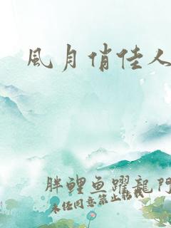风月俏佳人下载