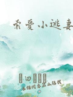 索爱小逃妻