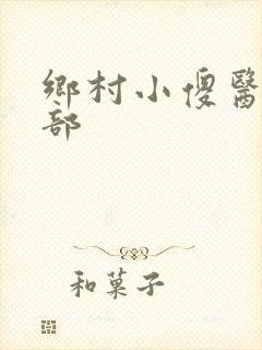 乡村小傻医第二部