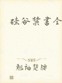 硅谷禁书全集