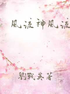 风流神风流记