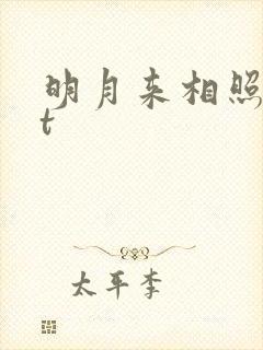 明月来相照txt