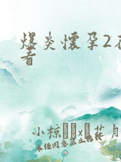 爆炎怀孕2在线看
