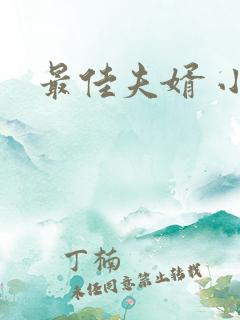 最佳夫婿 小说