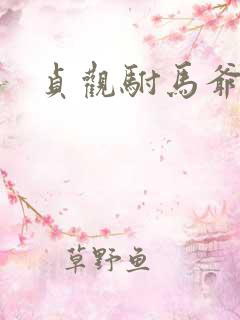 贞观驸马爷苏牧