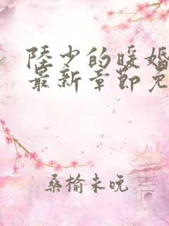 陆少的暖婚新妻最新章节免费阅读