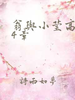 翁与小莹高潮24章