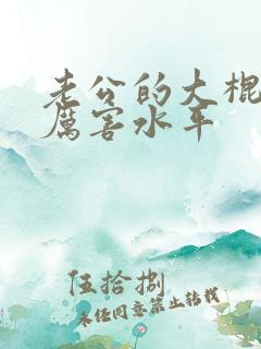 老公的大棍棒太厉害水平