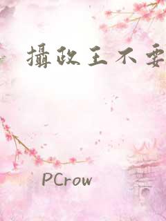 摄政王不要