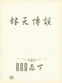 林天传说