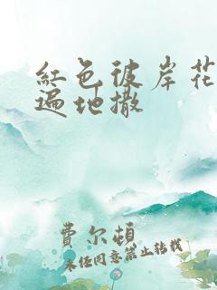 红色彼岸花花瓣遍地撒