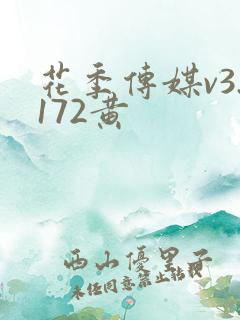 花季传媒v3.172黄
