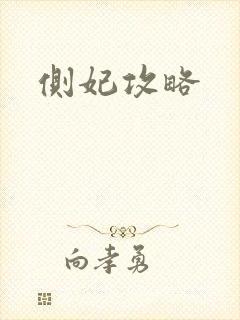 侧妃攻略