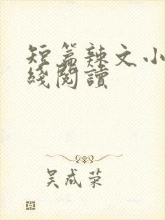短篇辣文小说在线阅读