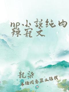 np小说纯肉高辣宠文