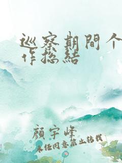 巡察期间个人工作总结